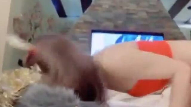video gadis jepang mencoba street food bokep yang ramai dibahas bokep